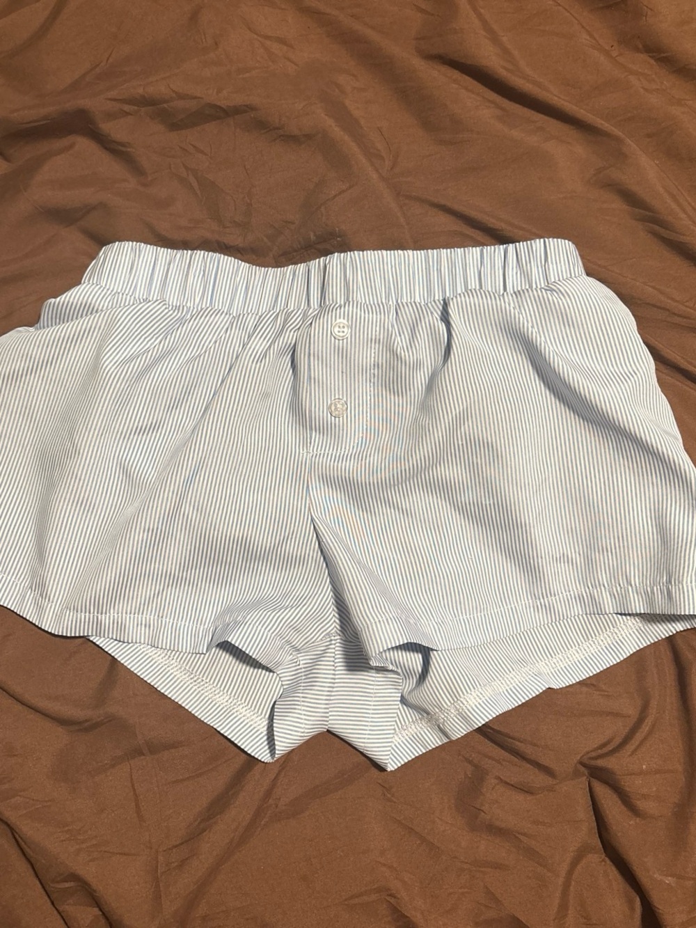 Brandy Melville Light Blue Pinstriped Cotton Shorts